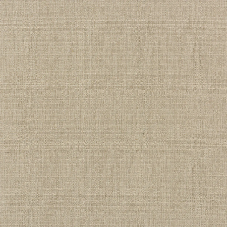 Birch Fabric Sample